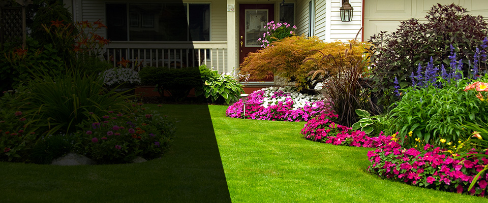 San Ysidro Landscapers