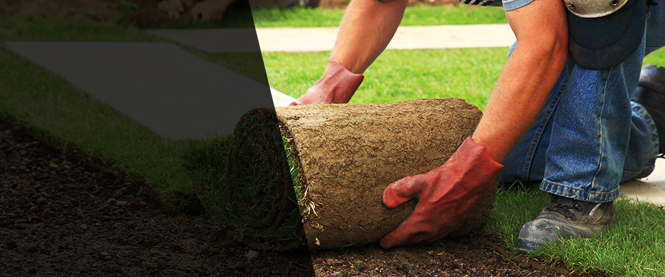 San Ysidro Landscapers